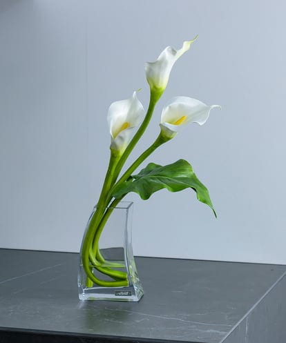 TTNTS41200  カラー2L