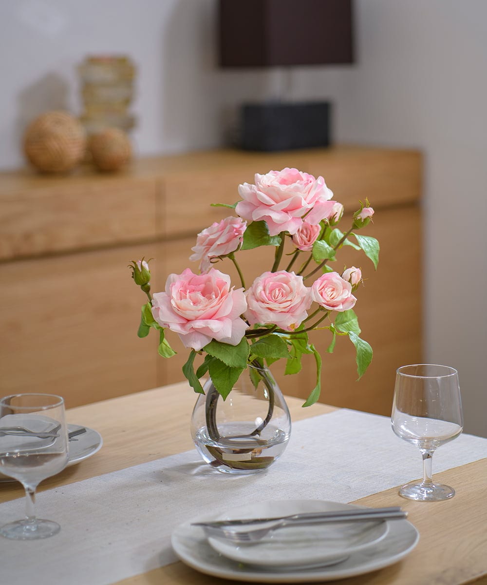 TTNTS64200 EMILIO ROBBA(エミリオ ロバ) プリマローズpk-L その他