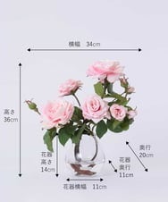 TTNTS64200 EMILIO ROBBA(エミリオ ロバ) プリマローズpk-L その他