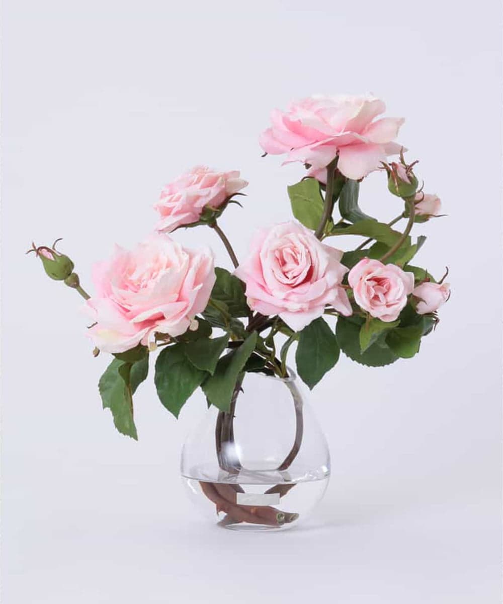 TTNTS64200 EMILIO ROBBA(エミリオ ロバ) プリマローズpk-L その他