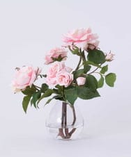 TTNTS64200 EMILIO ROBBA(エミリオ ロバ) プリマローズpk-L その他