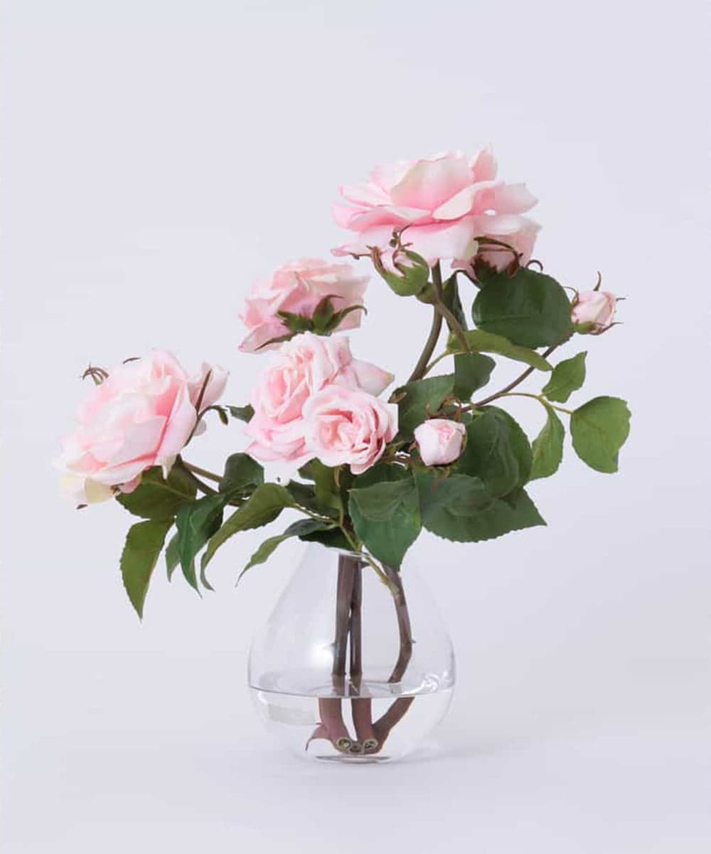 TTNTS64200 EMILIO ROBBA(エミリオ ロバ) プリマローズpk-L その他