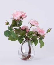 TTNTS64200 EMILIO ROBBA(エミリオ ロバ) プリマローズpk-L その他