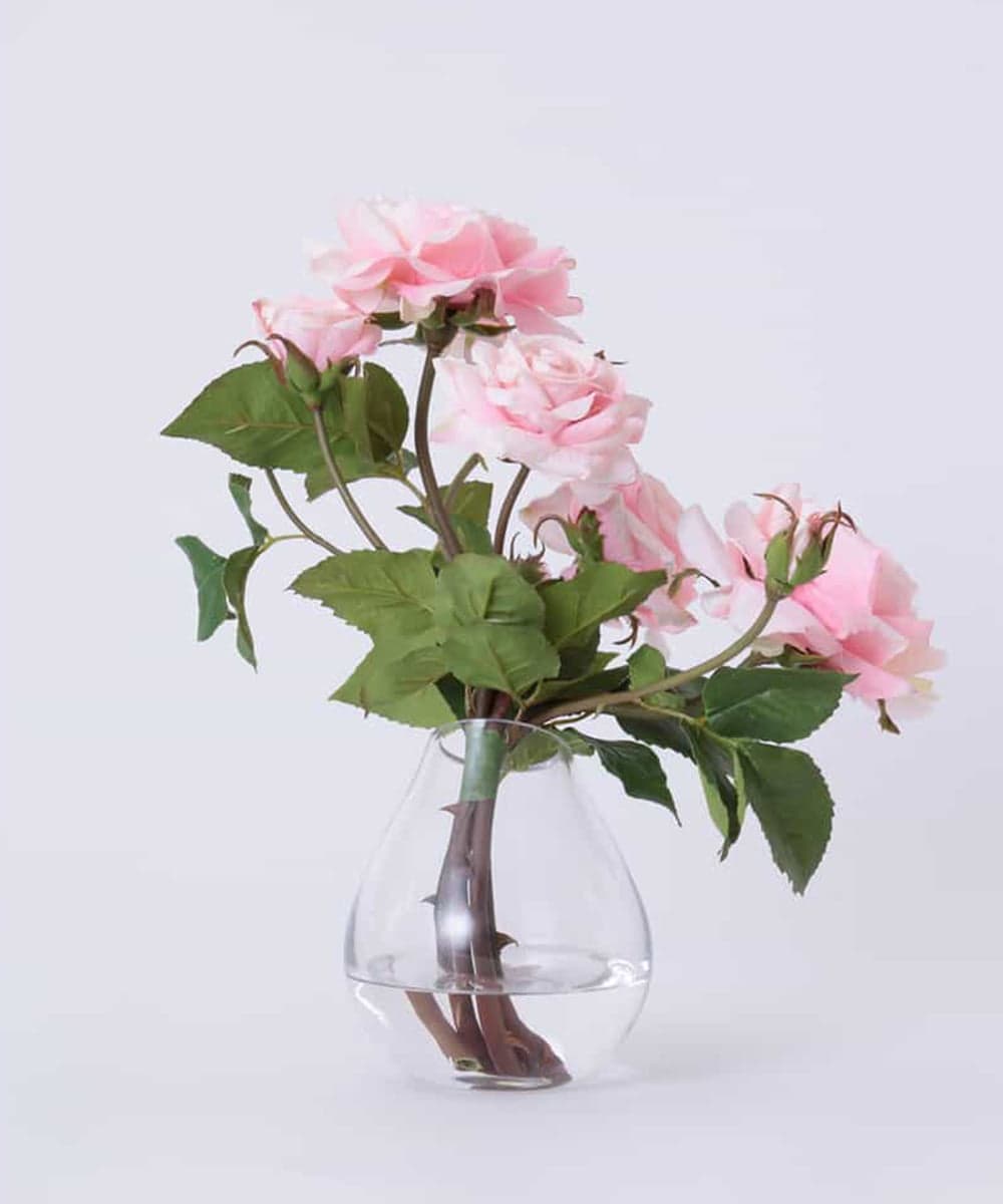 TTNTS64200 EMILIO ROBBA(エミリオ ロバ) プリマローズpk-L その他