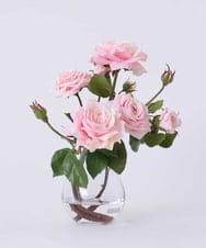 TTNTS64200 EMILIO ROBBA(エミリオ ロバ) プリマローズpk-L その他