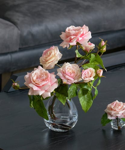 TTNTS64200  プリマローズpk-L