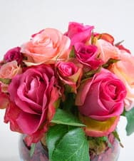 TTSTD08100 EMILIO ROBBA(エミリオ ロバ) ローズポプリアレンジM-p その他