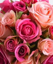 TTSTD08100 EMILIO ROBBA(エミリオ ロバ) ローズポプリアレンジM-p その他