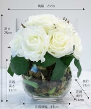 TTSTE09100 EMILIO ROBBA(エミリオ ロバ) ローズポプリアレンジM-w-b その他0000