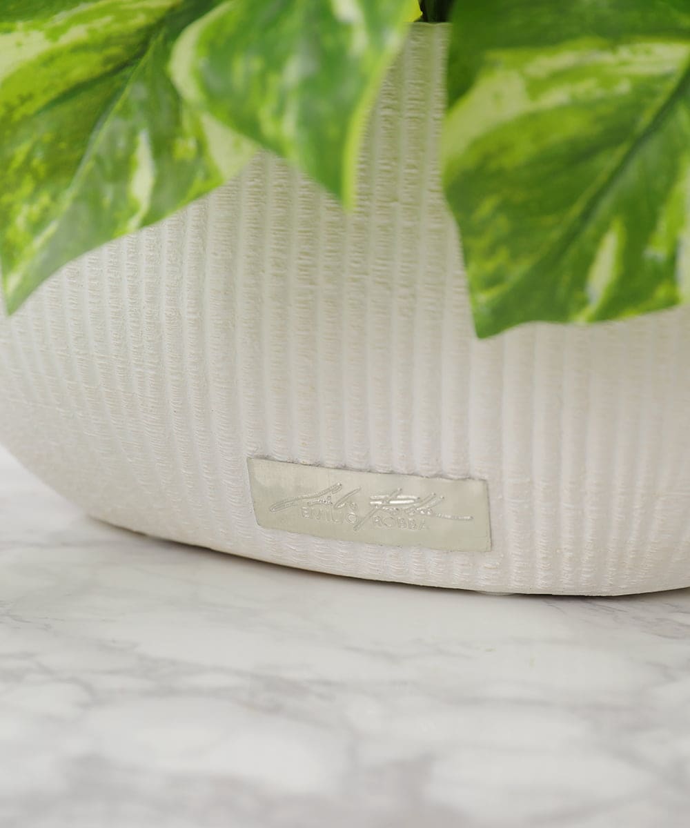 TTTTA05120 EMILIO ROBBA(エミリオ ロバ) ポトスL その他