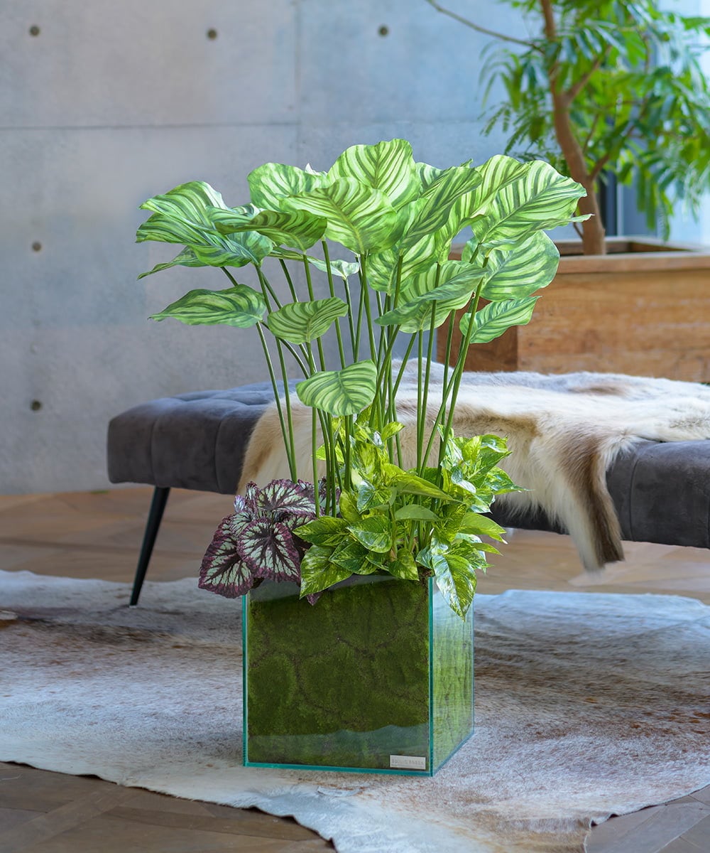 TTTTA06800 EMILIO ROBBA(エミリオ ロバ) ギャザリング・カラテア その他