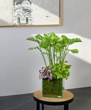 TTTTA06800 EMILIO ROBBA(エミリオ ロバ) ギャザリング・カラテア その他