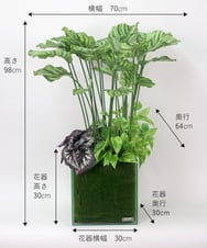 TTTTA06800 EMILIO ROBBA(エミリオ ロバ) ギャザリング・カラテア その他