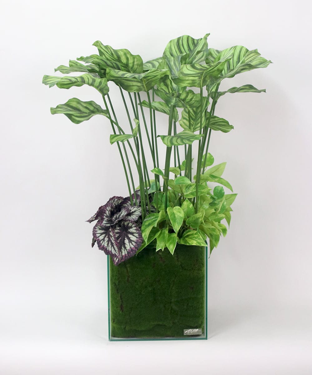 TTTTA06800 EMILIO ROBBA(エミリオ ロバ) ギャザリング・カラテア その他