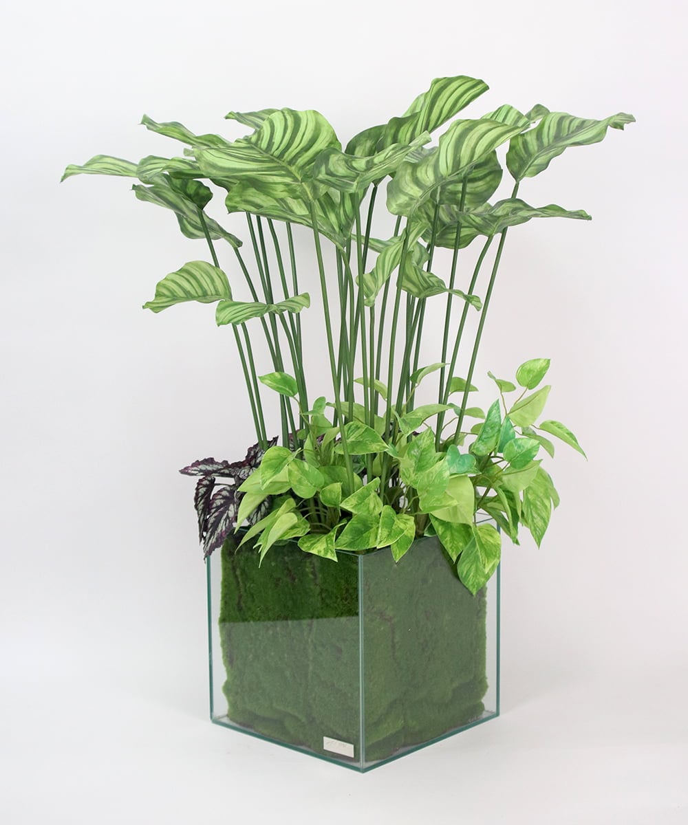 TTTTA06800 EMILIO ROBBA(エミリオ ロバ) ギャザリング・カラテア その他