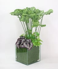 TTTTA06800 EMILIO ROBBA(エミリオ ロバ) ギャザリング・カラテア その他