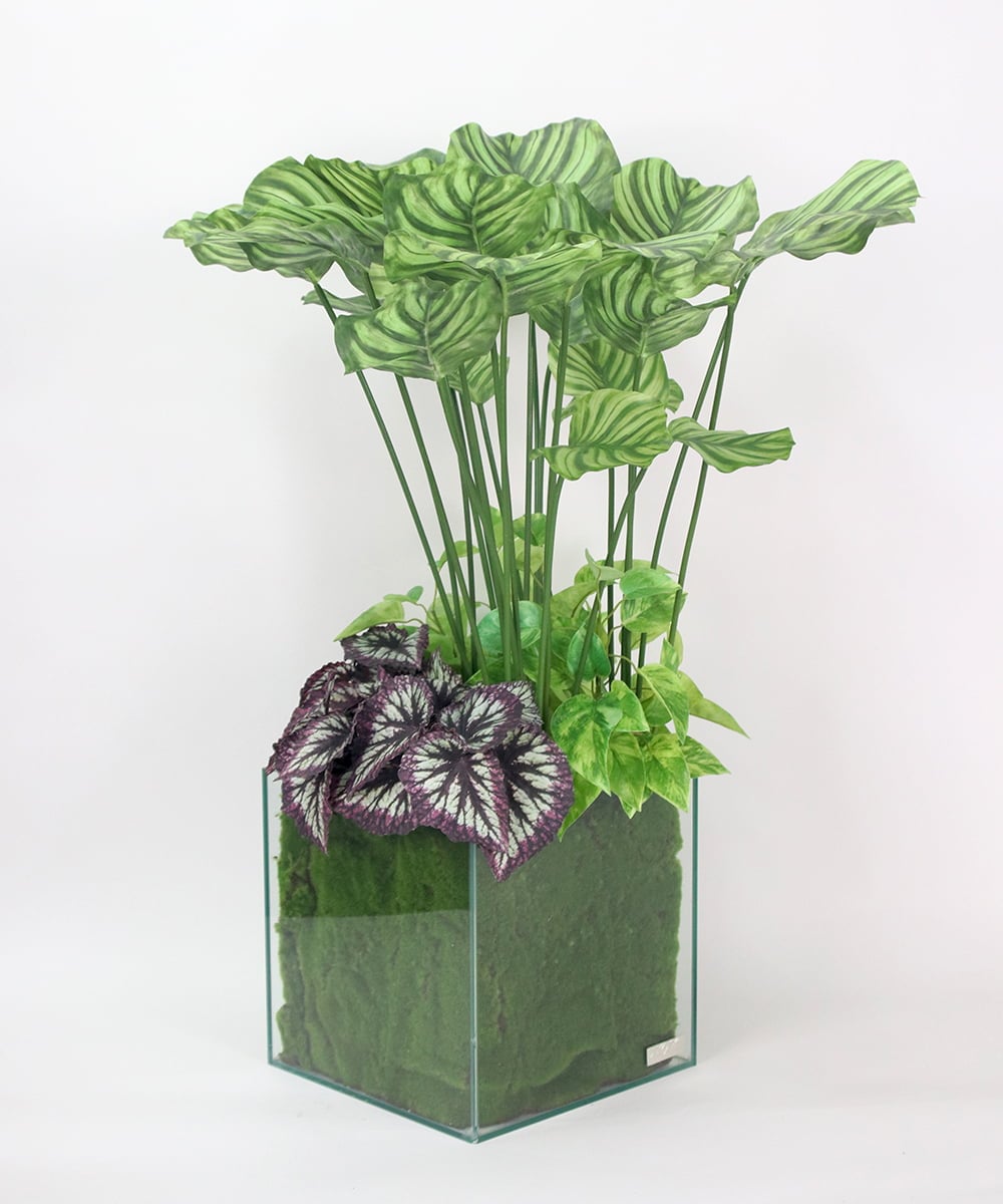 TTTTA06800 EMILIO ROBBA(エミリオ ロバ) ギャザリング・カラテア その他