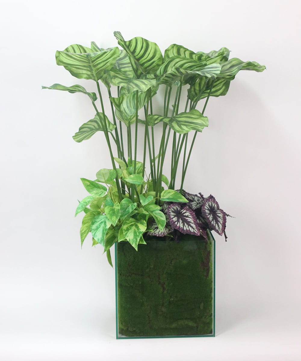 TTTTA06800 EMILIO ROBBA(エミリオ ロバ) ギャザリング・カラテア その他