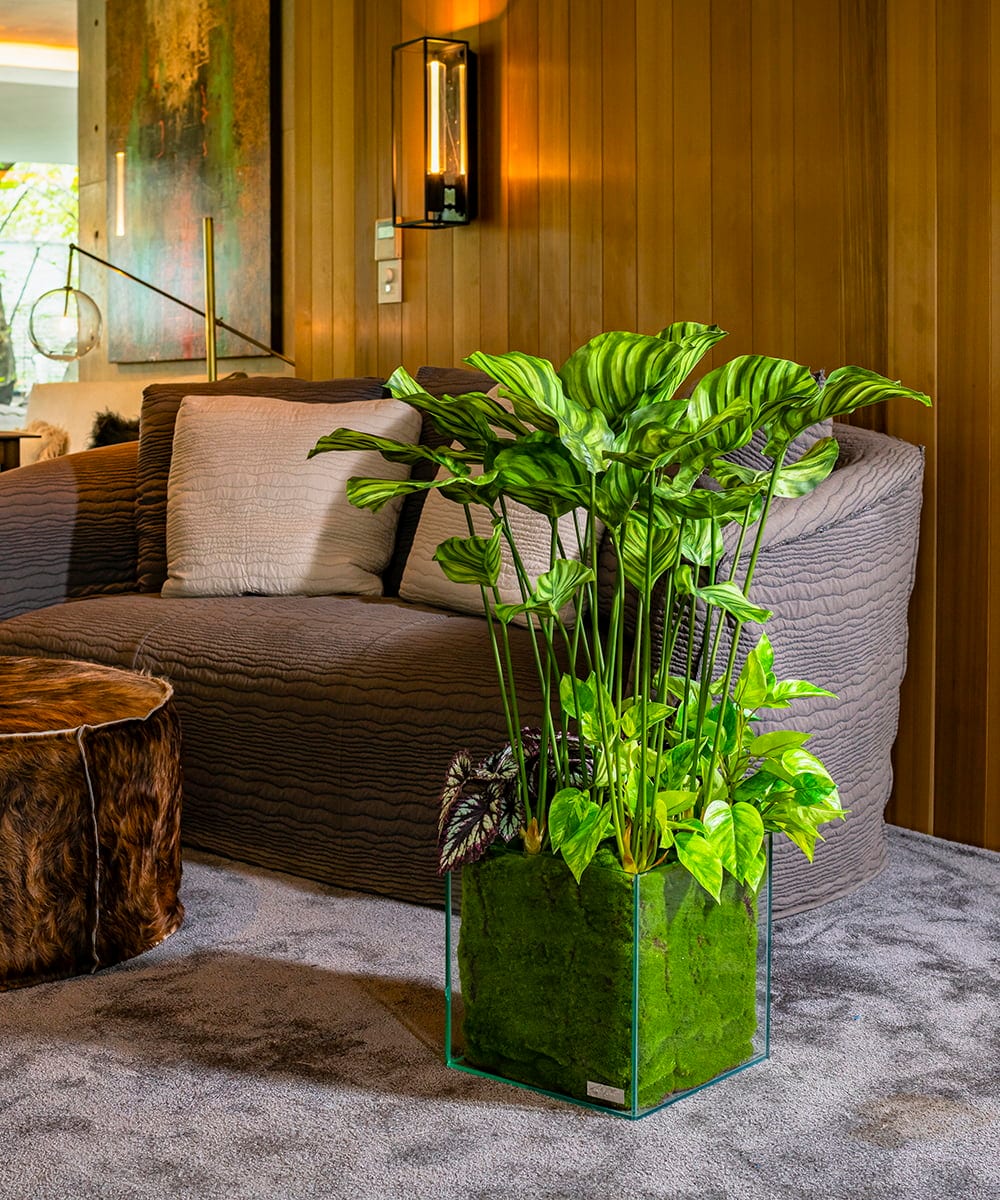 TTTTA06800 EMILIO ROBBA ギャザリング・カラテア