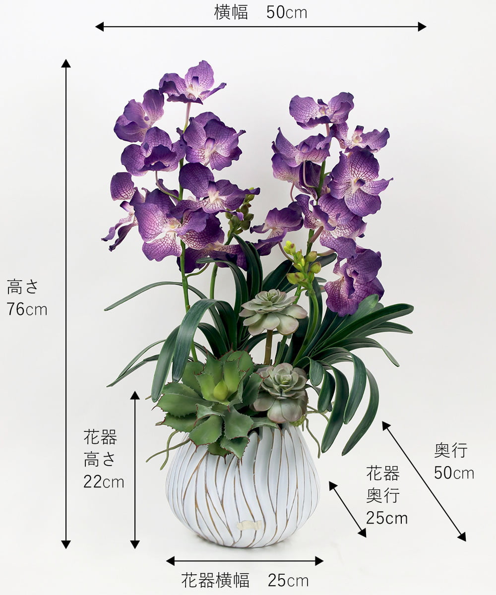 TTUTA10450 EMILIO ROBBA(エミリオ ロバ) バンダボタニックpu-XL その他