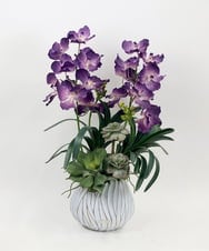 TTUTA10450 EMILIO ROBBA(エミリオ ロバ) バンダボタニックpu-XL その他