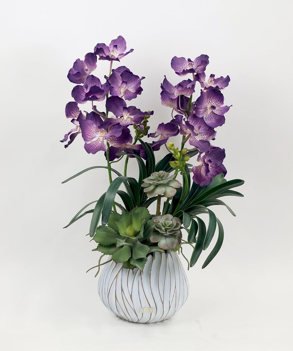 TTUTA10450 EMILIO ROBBA(エミリオ ロバ) バンダボタニックpu-XL その他