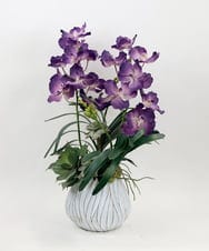 TTUTA10450 EMILIO ROBBA(エミリオ ロバ) バンダボタニックpu-XL その他