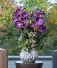 TTUTA10450 EMILIO ROBBA(エミリオ ロバ) バンダボタニックpu-XL その他