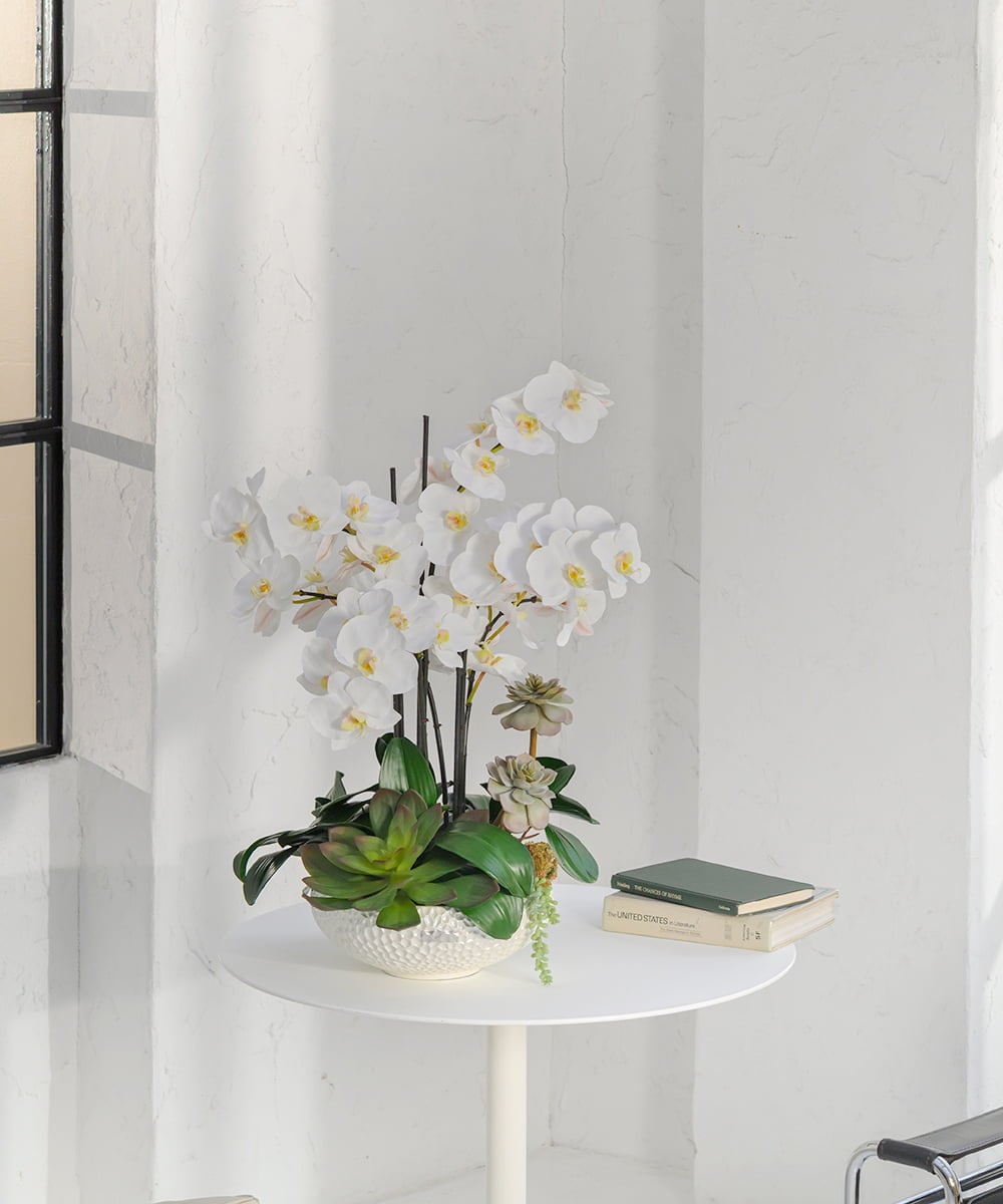 TTUTA57500 EMILIO ROBBA(エミリオ ロバ) ファレノプシスボタニックXL その他