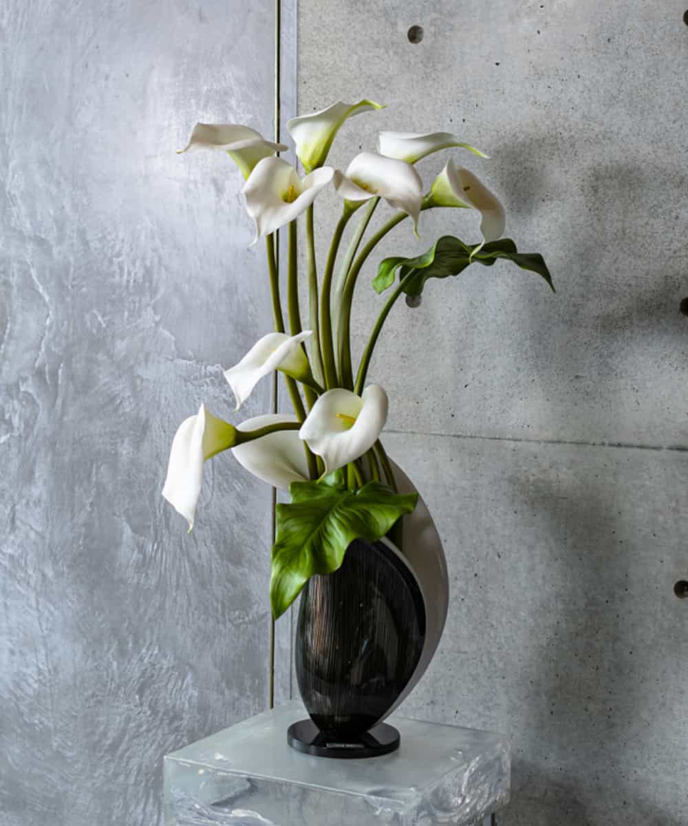 Emilio Robba エミリオ ロバ カラー3l イトキンオンラインストア