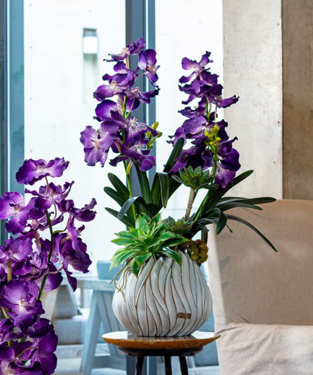 Emilio Robba エミリオ ロバ バンダボタニック2l Pu イトキンオンラインストア