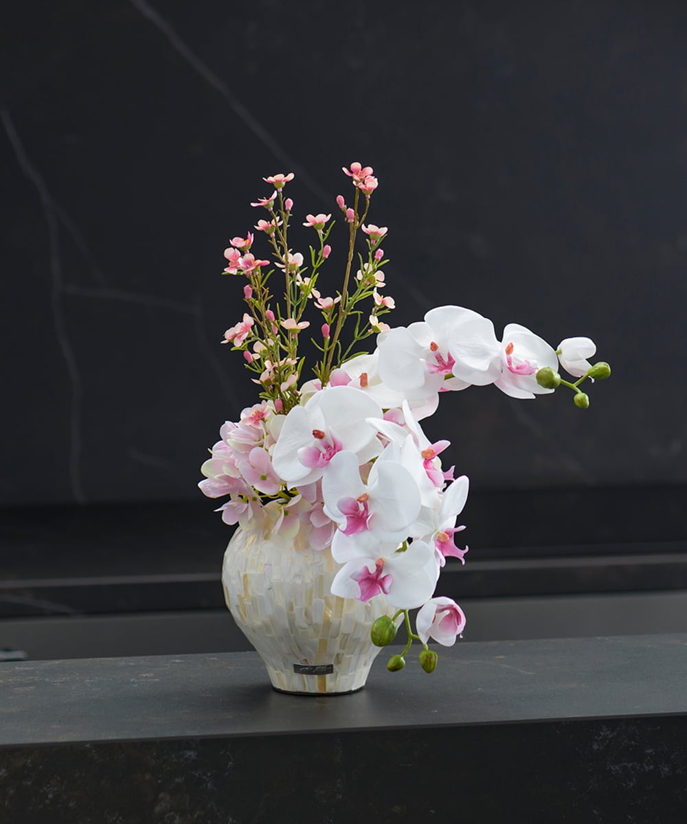 TTUTS58250 EMILIO ROBBA(エミリオ ロバ) ファレノプシスリップピンク2L その他