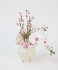 TTUTS58250 EMILIO ROBBA(エミリオ ロバ) ファレノプシスリップピンク2L その他