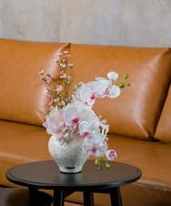 TTUTS58250 EMILIO ROBBA(エミリオ ロバ) ファレノプシスリップピンク2L その他