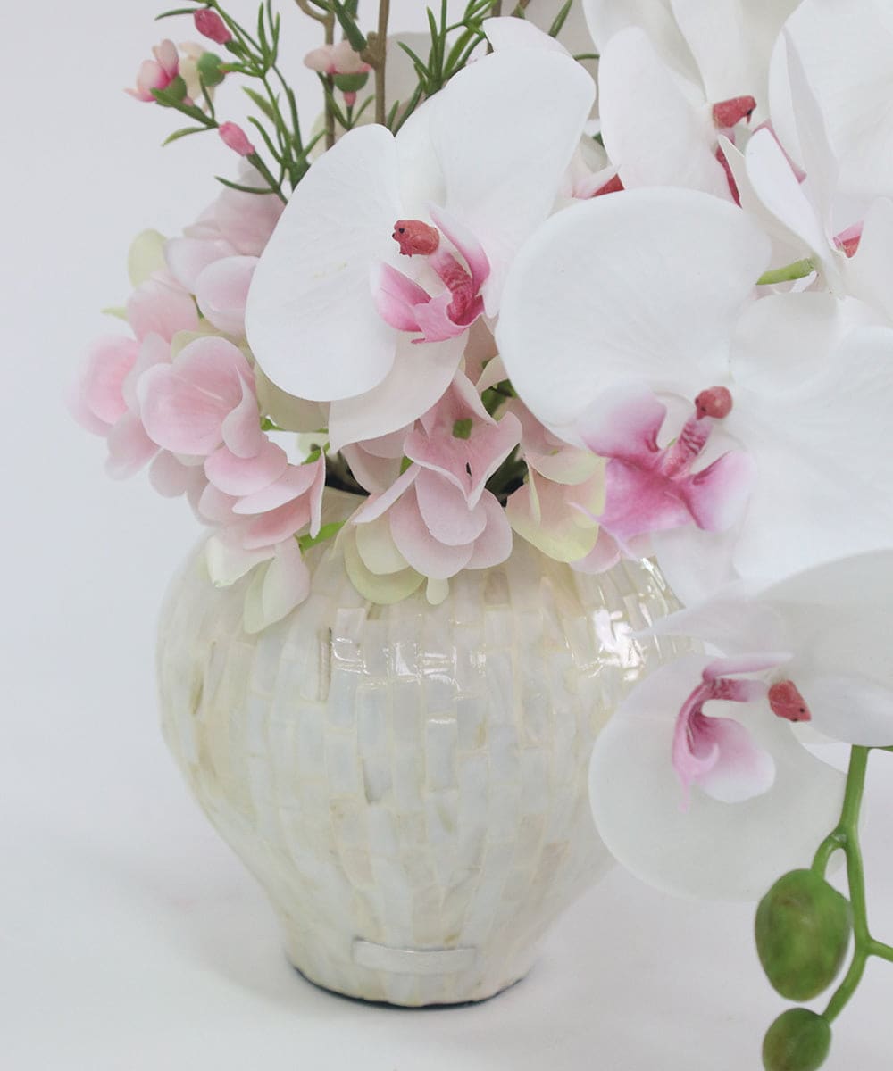 TTUTS58250 EMILIO ROBBA(エミリオ ロバ) ファレノプシスリップピンク2L その他