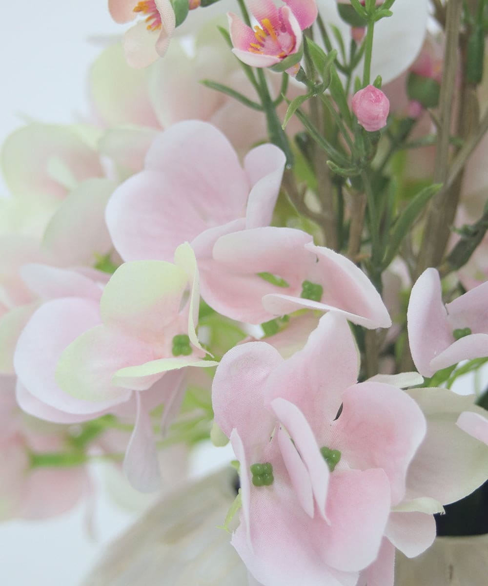 TTUTS58250 EMILIO ROBBA(エミリオ ロバ) ファレノプシスリップピンク2L その他