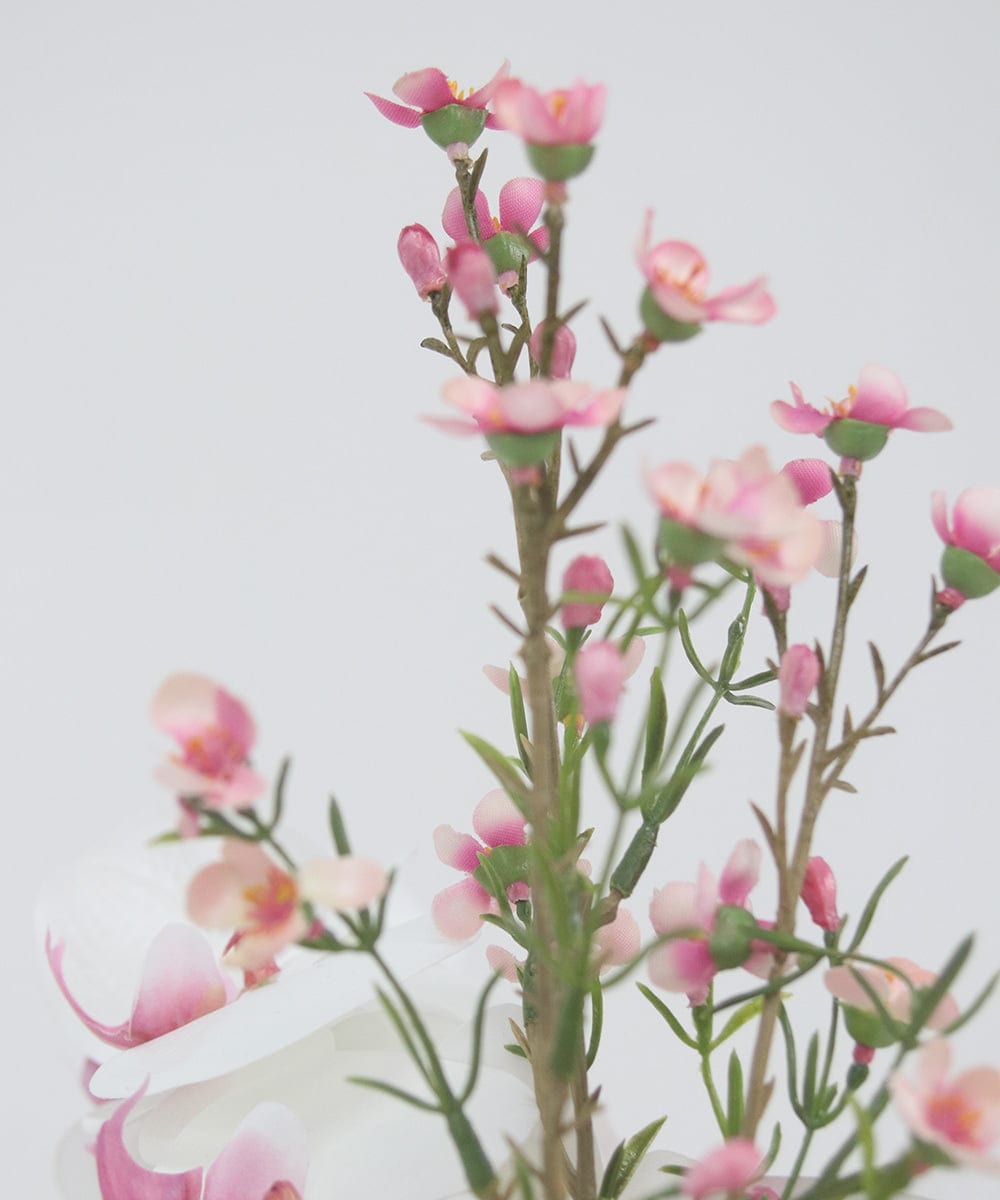 TTUTS58250 EMILIO ROBBA(エミリオ ロバ) ファレノプシスリップピンク2L その他