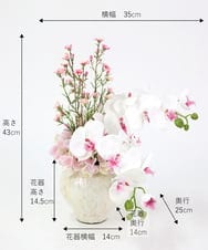 TTUTS58250 EMILIO ROBBA(エミリオ ロバ) ファレノプシスリップピンク2L その他