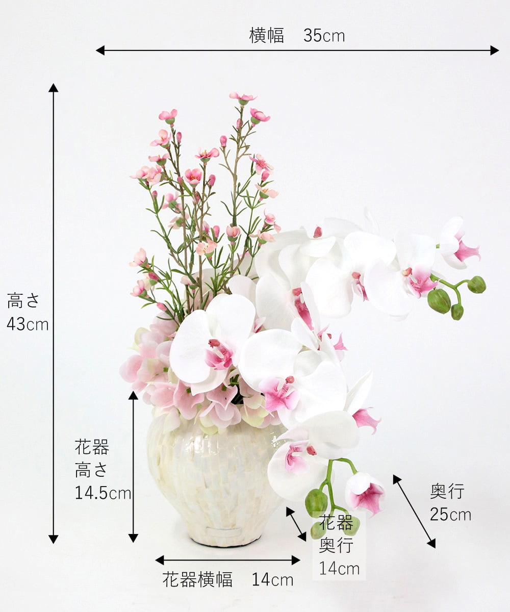 TTUTS58250 EMILIO ROBBA(エミリオ ロバ) ファレノプシスリップピンク2L その他