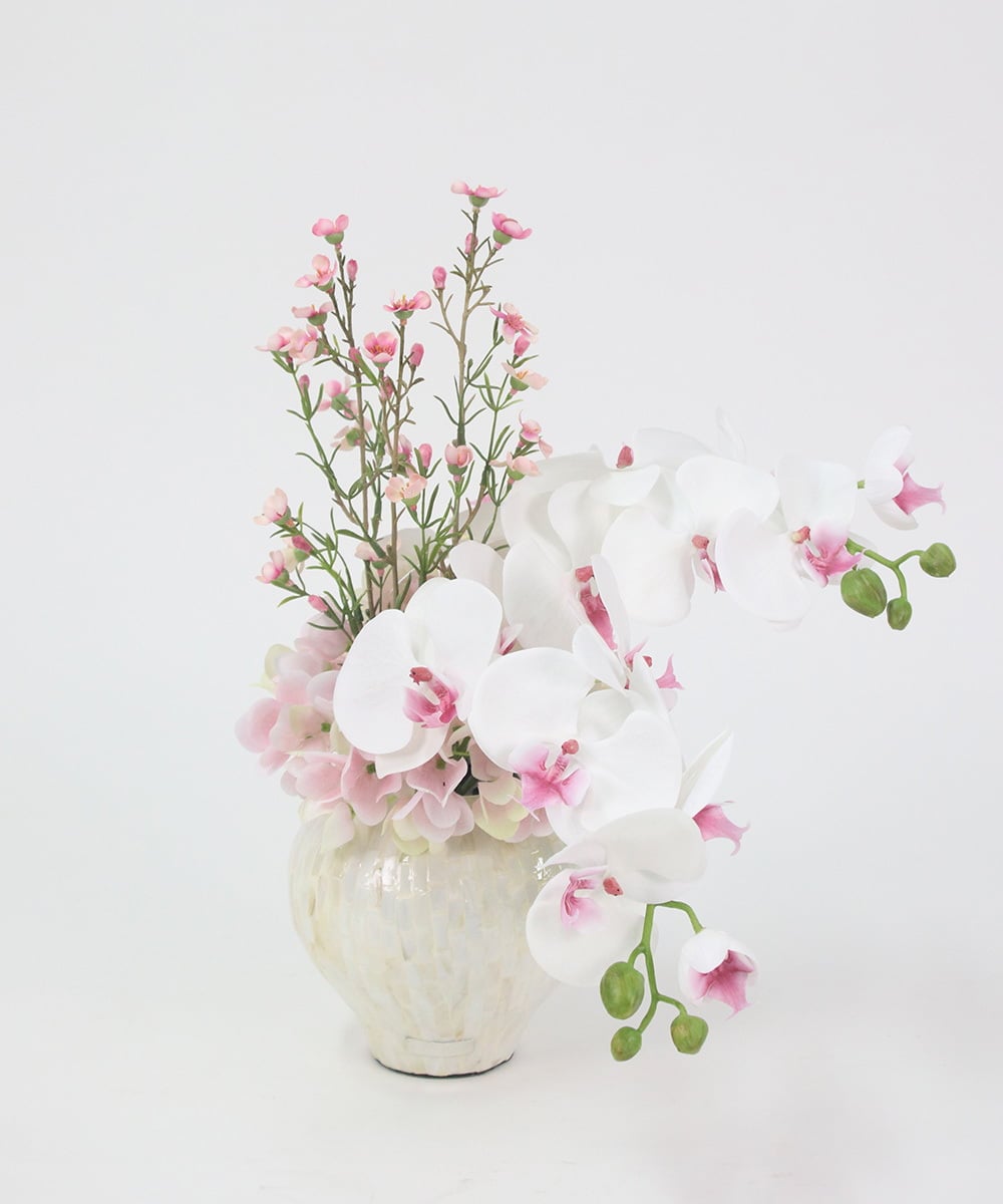 TTUTS58250 EMILIO ROBBA(エミリオ ロバ) ファレノプシスリップピンク2L その他