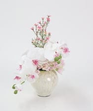 TTUTS58250 EMILIO ROBBA(エミリオ ロバ) ファレノプシスリップピンク2L その他