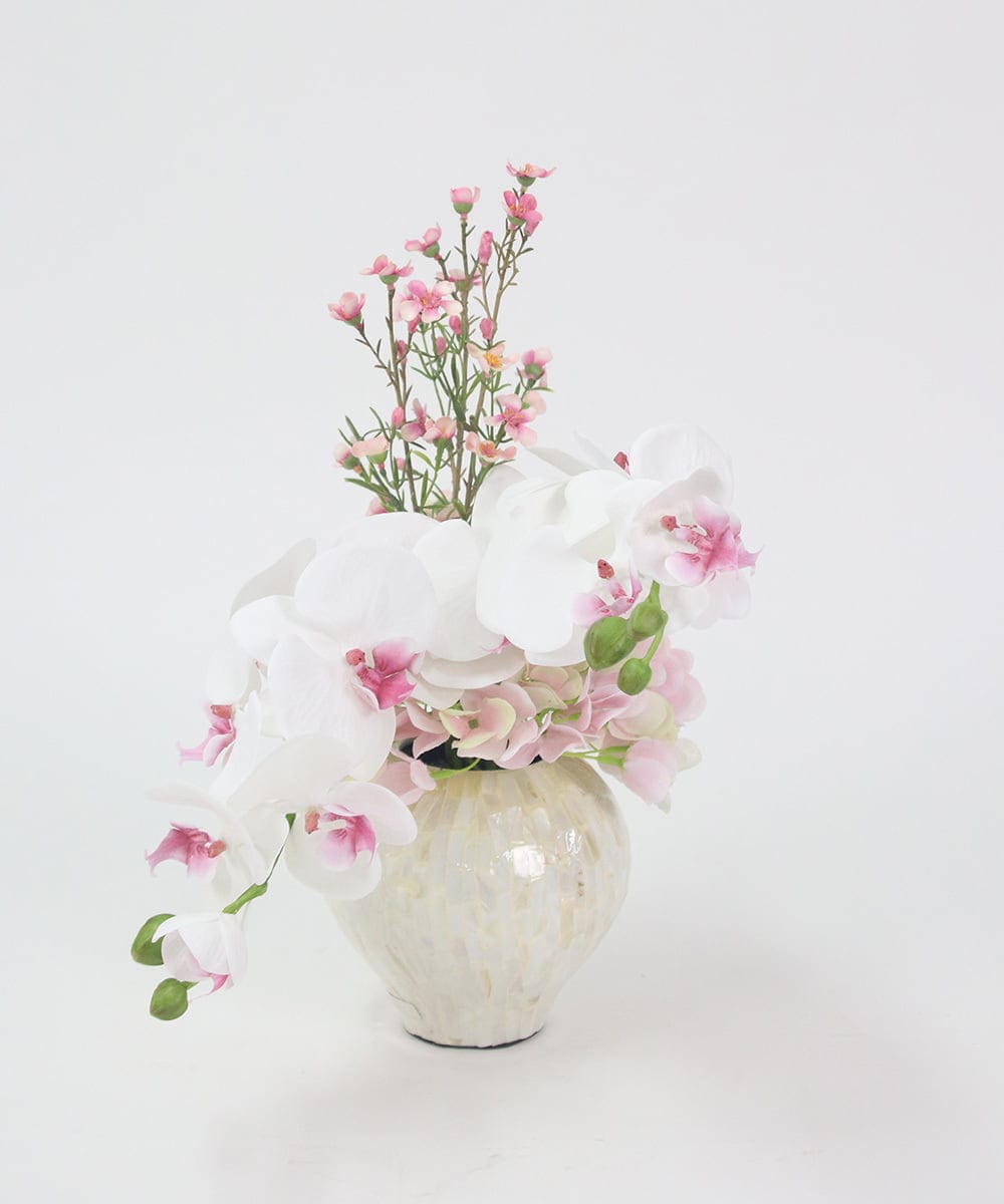 TTUTS58250 EMILIO ROBBA(エミリオ ロバ) ファレノプシスリップピンク2L その他