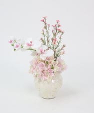 TTUTS58250 EMILIO ROBBA(エミリオ ロバ) ファレノプシスリップピンク2L その他