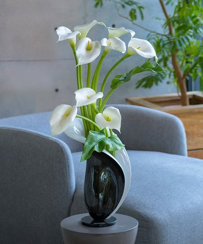 TTUUA45100  カラー2XL