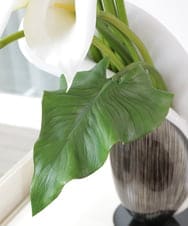 TTUUA45100 EMILIO ROBBA(エミリオ ロバ) カラー2XL その他