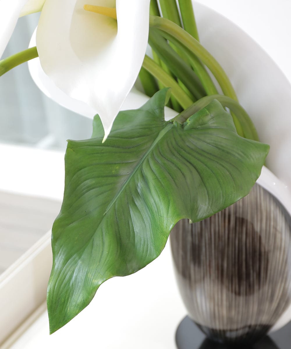 TTUUA45100 EMILIO ROBBA(エミリオ ロバ) カラー2XL その他