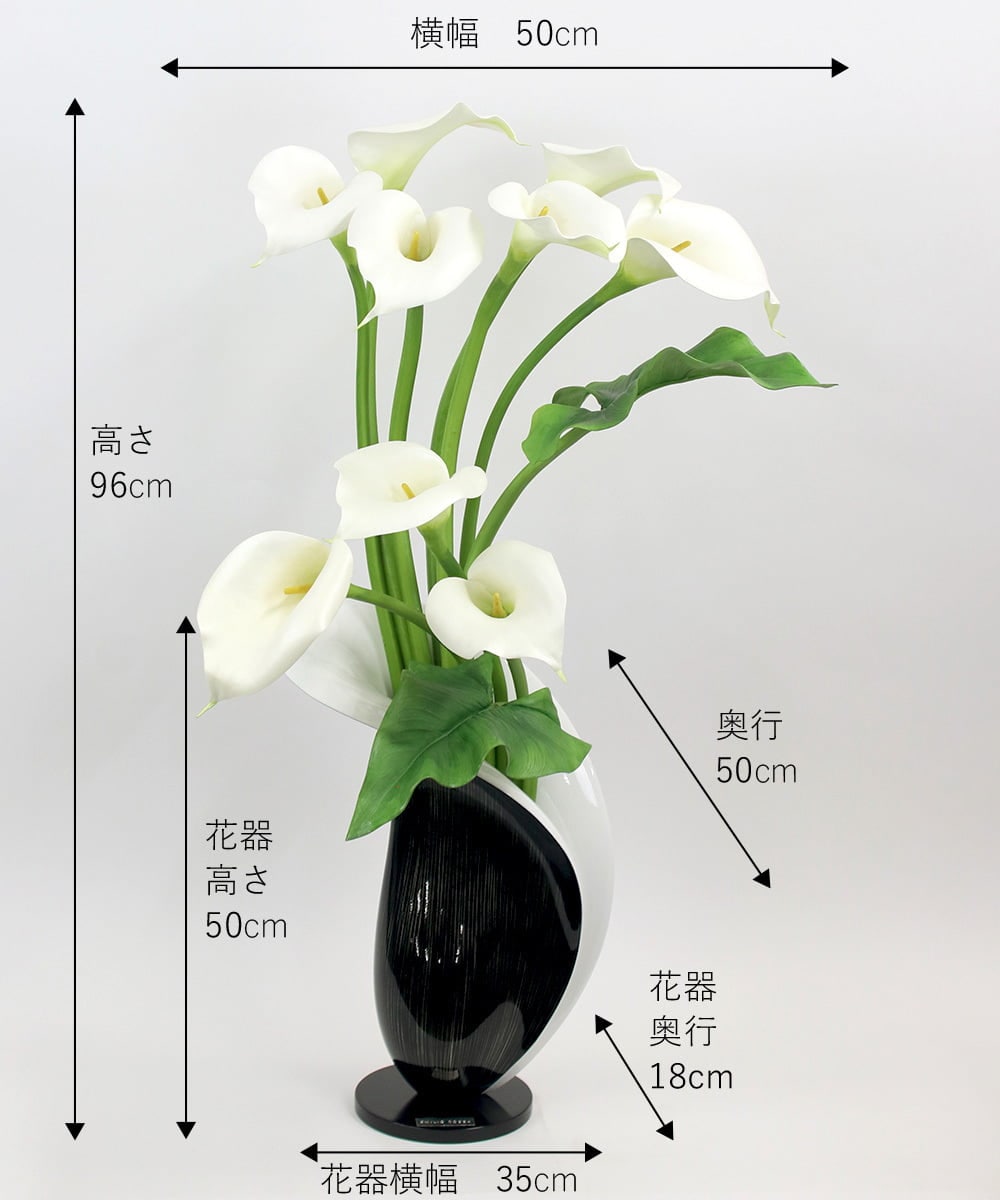 TTUUA45100 EMILIO ROBBA(エミリオ ロバ) カラー2XL その他