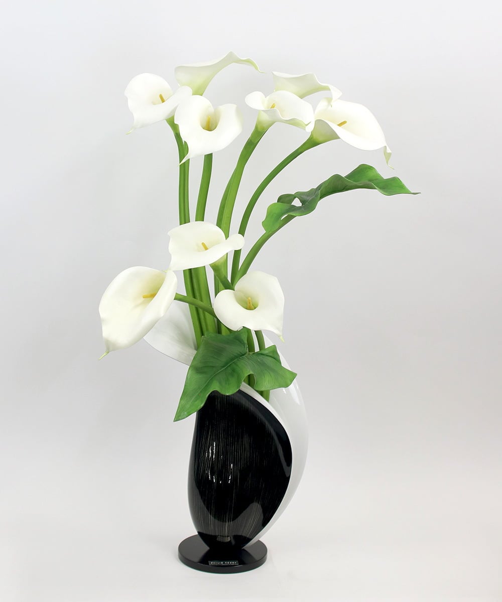 TTUUA45100 EMILIO ROBBA(エミリオ ロバ) カラー2XL その他