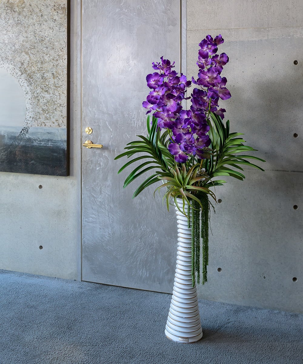 TTUUS13120 EMILIO ROBBA(エミリオ ロバ) バンダボタニックpu-5XL その他