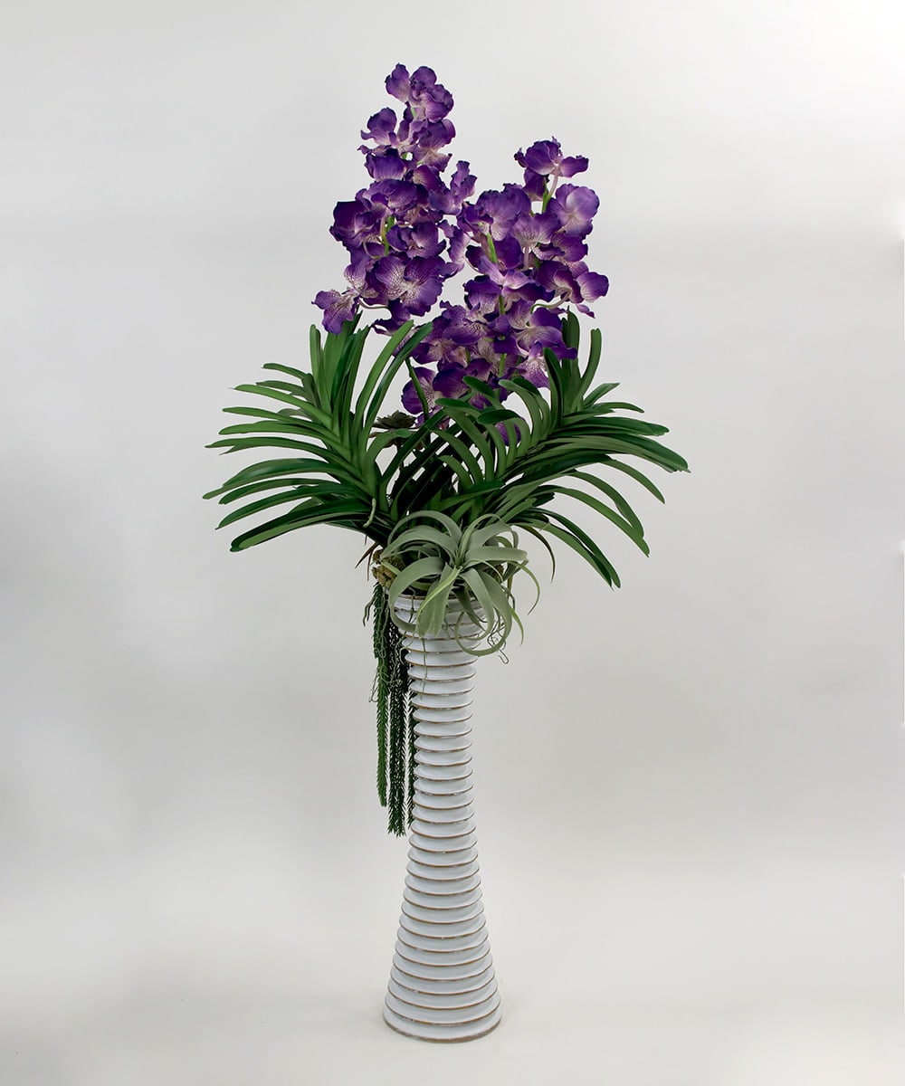 TTUUS13120 EMILIO ROBBA(エミリオ ロバ) バンダボタニックpu-5XL その他